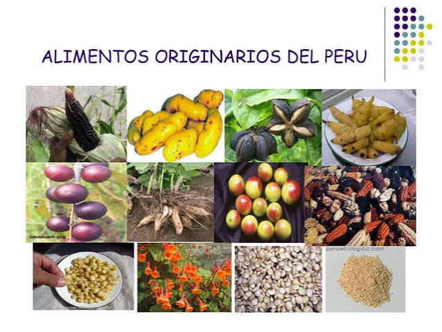 Alimentos originarios del peru | PPTX