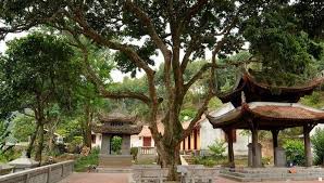 Post hình ảnh với nội dung không có giá trị đóng góp, nội dung nhằm mục đích câu like Váº» Ä'á»™c Ä'ao Cá»§a Ngoi Chua Chá»'n Rá»«ng Sau Nui Cao Chi Linh