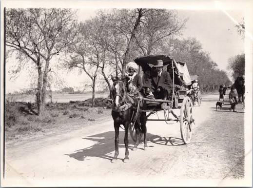 India, Surroundings of Ahmedabad, Horse Cart, vintage silver print, ca.1920 by Photographie originale / Original photograph: (1920) Photograph | photovintagefrance
