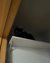 I've never been up this high before!