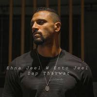 Zap Tharwat: albums, songs, concerts