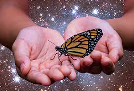For example, you might stumble. Seeing A White Butterfly The Symbolic And Spiritual Meaning