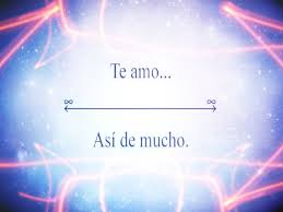 Frases De Te Amo Mi Gran Amor