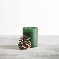 Williams Sonoma Winter Forest Candle Williams Sonoma