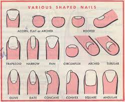 From The Standard Textbook Of Cosmetology Published By Accredited Schools Of Beauty Culture Inc Bronx Ny 19 Nail Tech School School Nails Nail Techniques