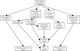 Fig 3 Investigating The Record Of Permian Climate Change