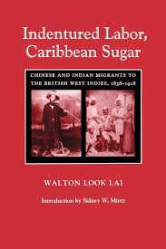 Indentured Labor, Caribbean Sugar ...