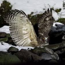 みきとあそぼう