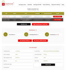 Apply the calling plan pin · 3. Red Pocket Port Out Account Number Pin Coolcomputing