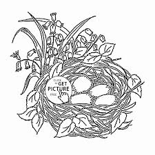 Bird Nest Coloring Page Awesome 50 Bird Nest Coloring Page Bird Egg Nest Colouring Pages In 2020 Bee Coloring Pages Flower Coloring Pages Coloring Pages