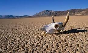 Artifacts - Death valley National park