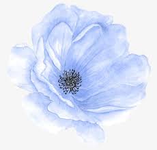 Check spelling or type a new query. Blue Hand Painted Flowers Png Clipart Backgrounds Beauty In Nature Blo Blue Blue Clipart Free Png