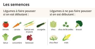 Certains semis doivent être faits à l'abri. Guide De Jardinage Pour Debutants Arctic Gardens