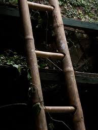Jun 02, 2021 · calung dibuat dari jenis bambu khas yaitu awi wulung (bambu hitam), atau awi temen (bambu berwarna putih). Foto Tangga Tobucil Koneksi Diskoneksi Rekoneksi