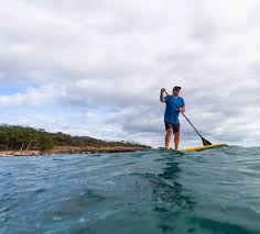 Healthy Merry Living: Who's YOUR Dani Johnson?!