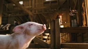 Start 30 day free trial now. Animal Magic Some Tricks And Secrets Of Furry Friends In The Movies Live For Films