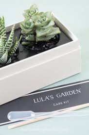 Succulents and cactus do not like or need moist and humid conditions. How To Water Succulents Without Drainage Succulents And Sunshine