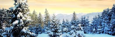 The Best Us Places To Spend A White Christmas Expedia Viewfinder