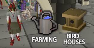 Maybe you would like to learn more about one of these? Birdhouse Osrs Profit