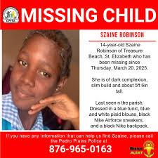 MISSING JUVENILE: Elizabeth Jade Butts, 14, Pierson, has been reported  missing by her grandmother. She was last seen by a friend last week after  being dropped off in Crescent City. There are