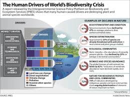 Climate Change And Other Human Caused Factors Are Driving A Global Biodiversity Crisis Biodiversity Climate Change Climate Change Effects