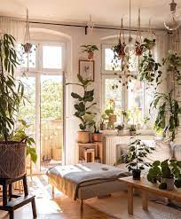 The Potted Jungle On Instagram All The Hanging Plants In This Space Are Giving Me Small Studio Apartment Decorating Redecorate Bedroom Apartment Inspiration