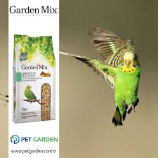 Gardenmix Platin Meyveli Muhabbet Kus Yemi Kullanima Hazir Minik Dostunuzun Tum Besin Ihtiyaclarini Karsilayan Bir Karisimdir Kus Yemi Muhabbet Kuslari Kus