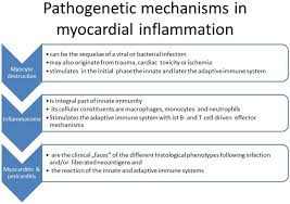 Ropean society of cardiology working group on myocardial and pericar Cardio Immunology Of Myocarditis Focus On Immune Mechanisms And Treatment Options Abstract Europe Pmc