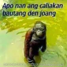 Daripada penasaran, langsung diklik, yuk! 29 Ide Kato Kato Minang Bermakna Lucu Cartoon Jokes Gambar Lucu
