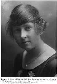 Image result for Styppeiochloa gynoglossa