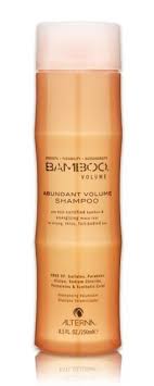 Image result for bamboo shampoo and conditioner