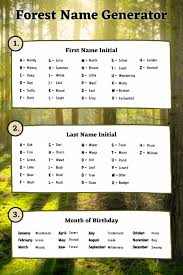 We have thousands of random kingdom names for you to browse. Forest Name Generator 150 Forest Name Ideas Imagine Forest