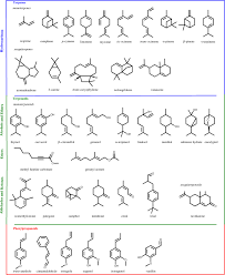 To combat plant fungal pathogens, oils generally must. Encapsulation In Cyclodextrins To Widen The Applications Of Essential Oils Springerlink