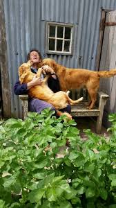 Pin By Halinakularska On Monty Don Silly Dogs Beautiful Dogs Animals Beautiful