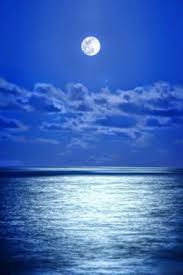Gambar laut lautan horison gelombang tenang teluk biru. Wallpaper Laut Biru 600x900 Download Hd Wallpaper Wallpapertip