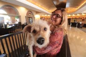 Maybe you would like to learn more about one of these? At Westin Rancho Mirage Guests Often Check Out With Furry New Friend