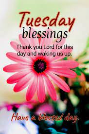 Arrange your world so that your life will glorious tuesday. á… Top 29 Good Morning Tuesday Images Pictures Photos