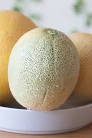 20 Sugar Kiss Melon Seeds Organic Home Grow - Etsy