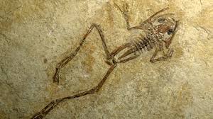 Quatre enjeux pour le territoire du Luberon