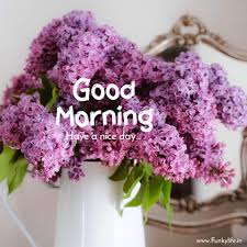 Wish you a really very good morning. 250 Good Morning Images Pictures Beautiful Morning Wishes 2021