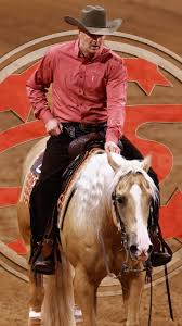 Image result for tbn:tVj6rqcH-AQR9M::www.pregonagropecuario.com.ar/images/caballo_overo.jpg