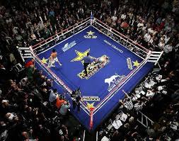 Mgm Grand Garden Arena Las Vegas Boxing Wrestling Capacity Mgm Grand Garden Arena Oscar De La Hoya Mgm