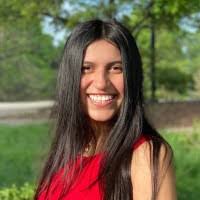 70+ "Pleitez" profiles