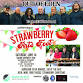 Strawberry Arts Fest