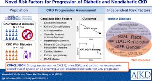 Kidney disease (nephropathy) is far more common in people with diabetes than in people without both diabetes and ckd are strongly associated with cardiovascular disease (cvd) and therefore. Novel Risk Factors For Progression Of Diabetic And Nondiabetic Ckd Findings From The Chronic Renal Insufficiency Cohort Cric Study Sciencedirect