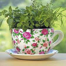 Outdoor Living Ceramic Giant Teacup Planter Tea Cups Tea Cup Planter Planters