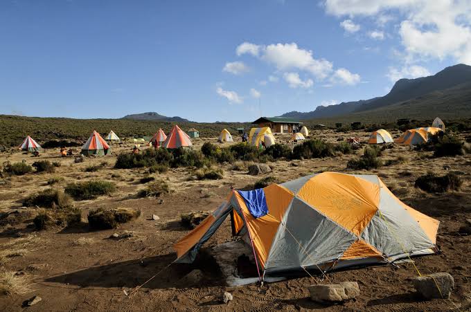 Mti Mkubwa Camp