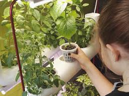 Supragarden Green Wall Vertical Hydroponic Garden System To Home