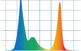 color matters color kinetics