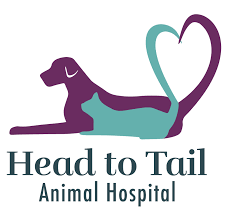 We also provide package plans for puppies and kittens for the first year of life. Vet Near Me 11776 Pet Dental Care Head To Tail Animal Hospital